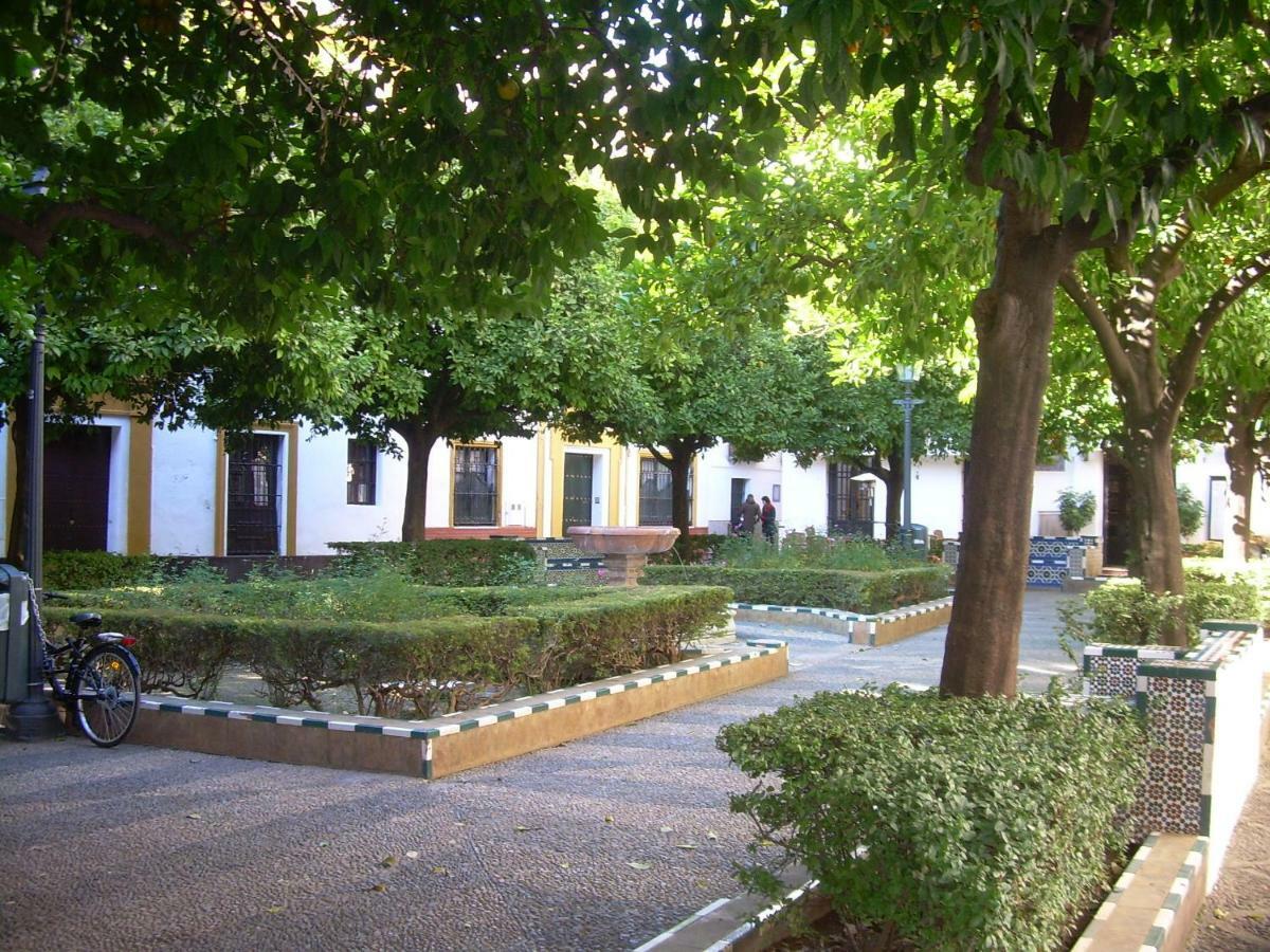 Botanic Duplex Terrace 5 Pax Apartment Seville Exterior photo